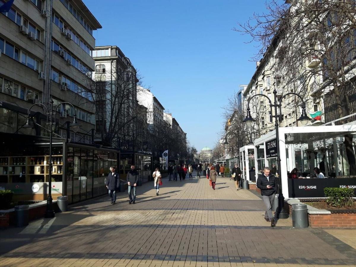 Apartment Stylish Center Flat 100m To Vitosha Blvd *